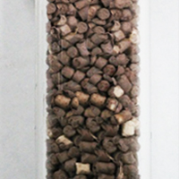  Image of pellet 